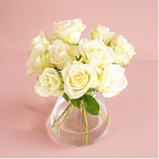 Letterbox Roses White
