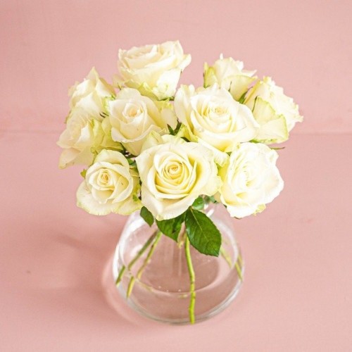 Letterbox Roses White