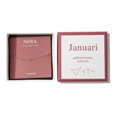 Noia Jewelery | Birthstone | January | Gold