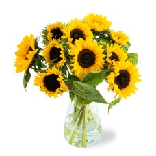 Bouquet of sunflowers