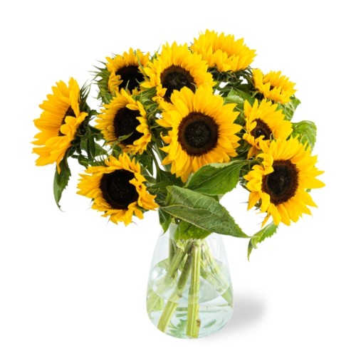 Bouquet of sunflowers