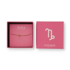 Noia Jewelery | Zodiac sign Capricorn