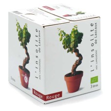 L'Insolite de Lascaux - Organic red wine AOC du Languedoc Bib 3L