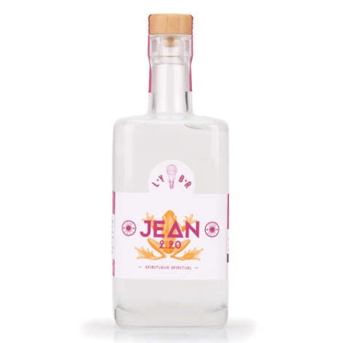 Jean 2.20 LYBR - French 