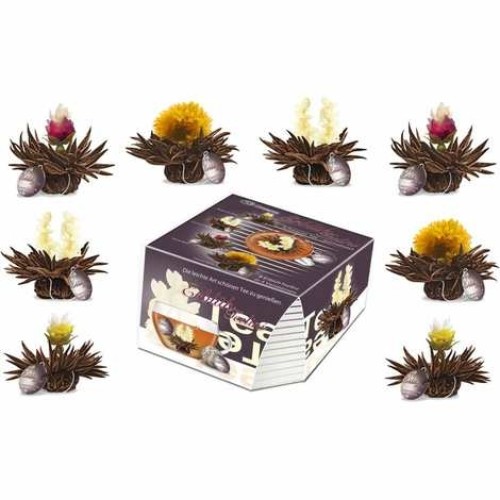 Box of 8 