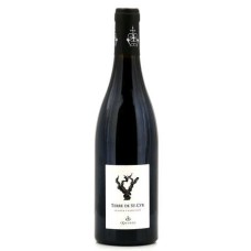 Terre de St Cyr Saumur Champigny AOC - red wine with no added sulphites