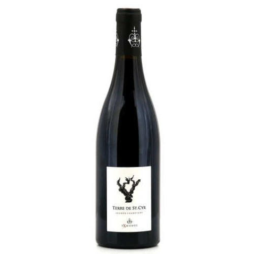 Terre de St Cyr Saumur Champigny AOC - red wine with no added sulphites