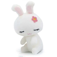 Rabbit plush (The white rabbit flush)