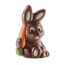 Rabbit and his milk chocolate carrot (The Rabbit of 40g)