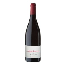 Ampelomeryx - Red Wine