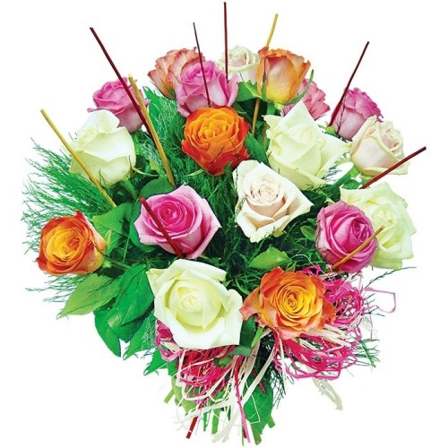18 colourful roses (Small)