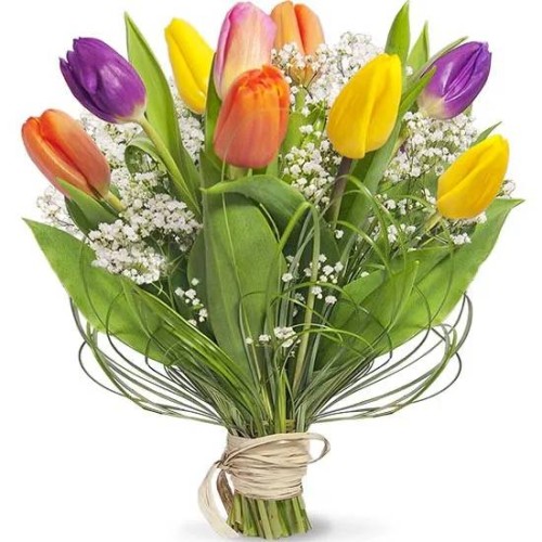 Flowers- colourful tulips
