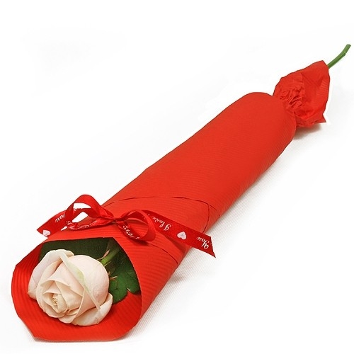 Elegant rose