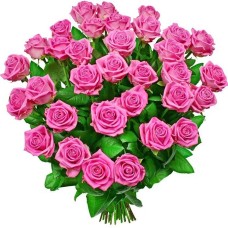 Rose poem flowers (Small)