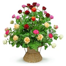 Colourful basket composition (Small)