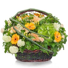 Tropical composition (Big (premium))