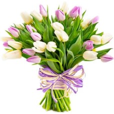 Tulips for Women's Day (Small)