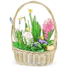 Spring composition (Big)