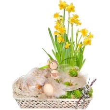 Daffodils and Easter Cake