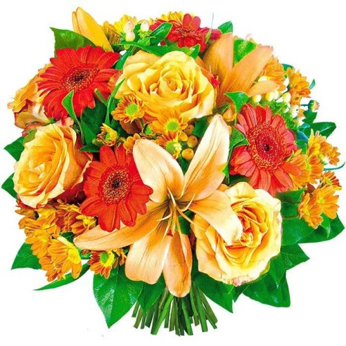 Flowers for Goldilocks (Small)