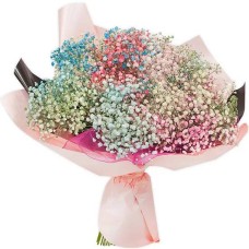 Bouquet of colored gypsophila (Small)