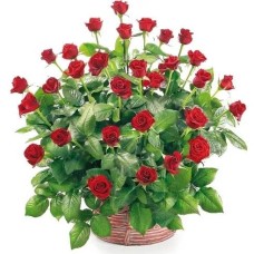 Basket of 30 roses (Small)