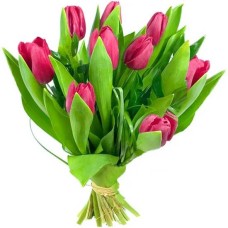 9 tulips bouquet
