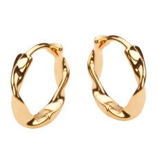 Earrings - rings