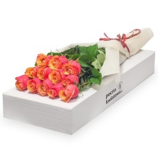 12 tea roses