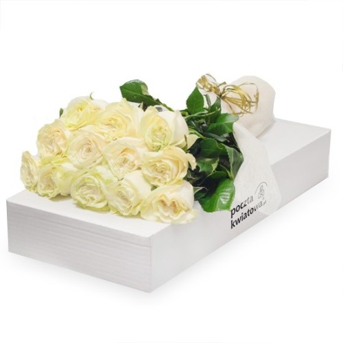 12 white roses