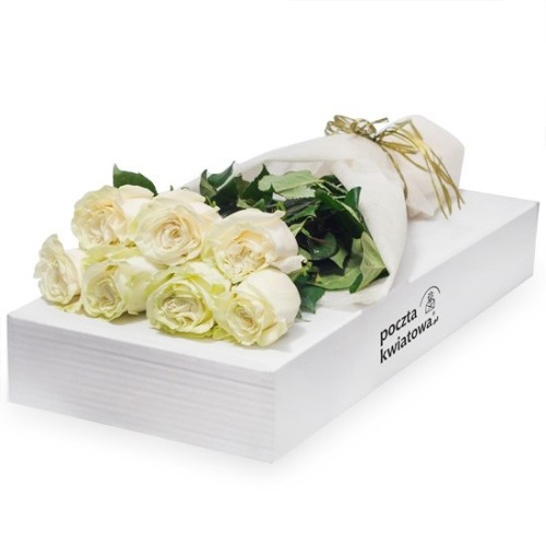 7 white roses