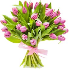 12 pink tulips