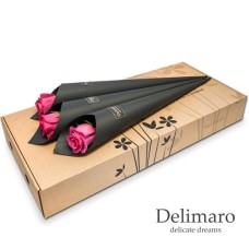 Single pink rose in black cone (Small)