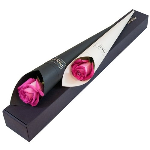 Two pink roses in cones