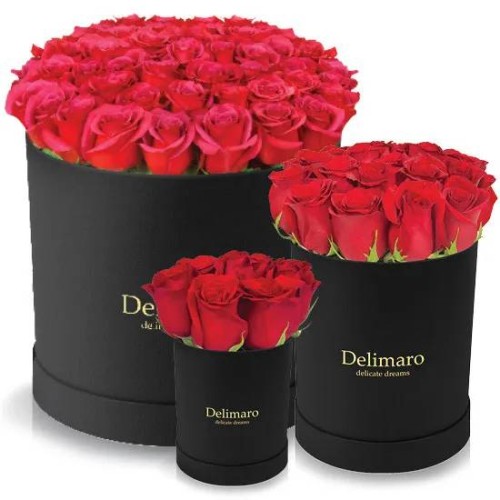 Red roses in a black box (Small)
