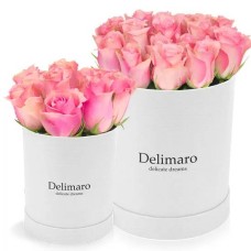 Pink roses in a white box (Small)