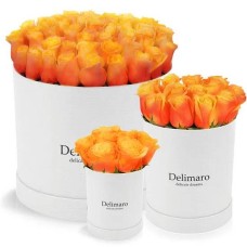 Tea roses in a white box (Small)