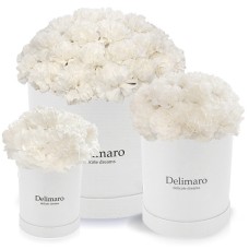 White carnations in a white box (Big (premium))