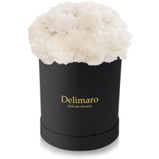White carnations in a black box (Small)
