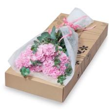 21 pink carnations