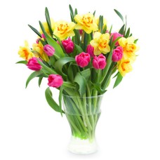 Tulips and daffodils