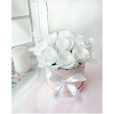 Debbie VD (Small)