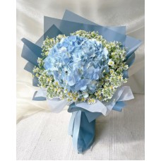 Cobalt Addison (Small)