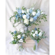 Beautiful Bridal (VI)