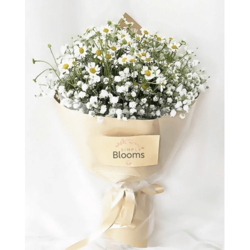 Daisy Dreams (Small)