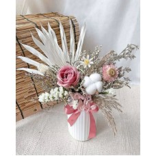 Queena's Beauty (Small)