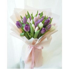 Miracle Moments (Small)