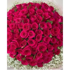 99 Pink Roses
