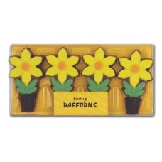 SPRING DAFFODILS