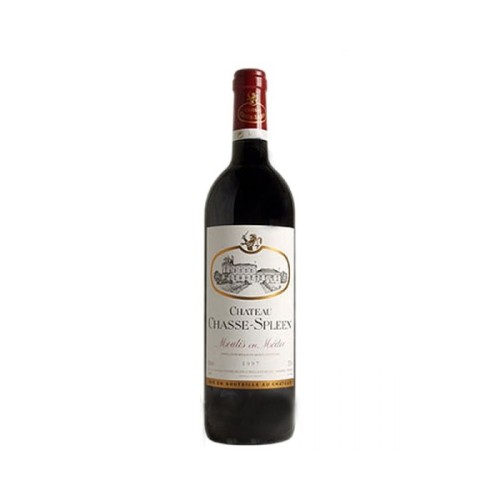 ChÃ¢teau Chasse-Spleen Moulis en MÃ©doc 2014